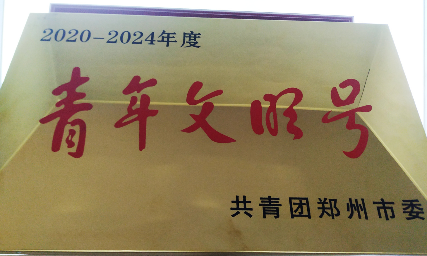 共青团市委青年文明号
